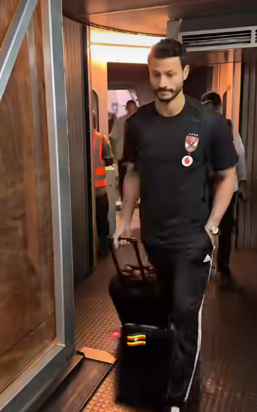 محمد الشناوى