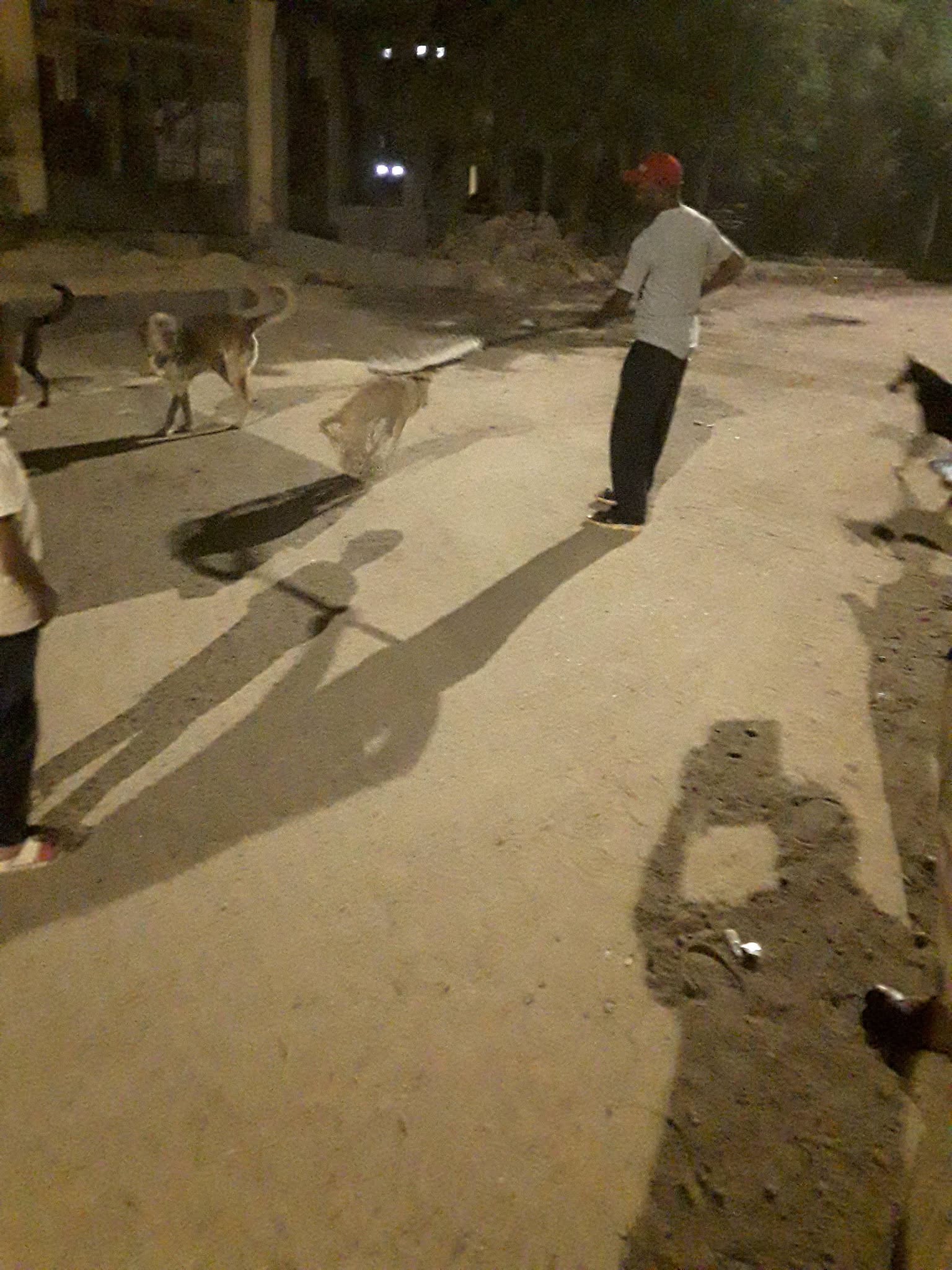 عمليات تحصين للطلاب الضالة بمدينة طيبة الجديدة