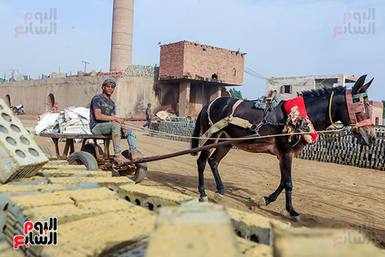 عامل نقل الطوب