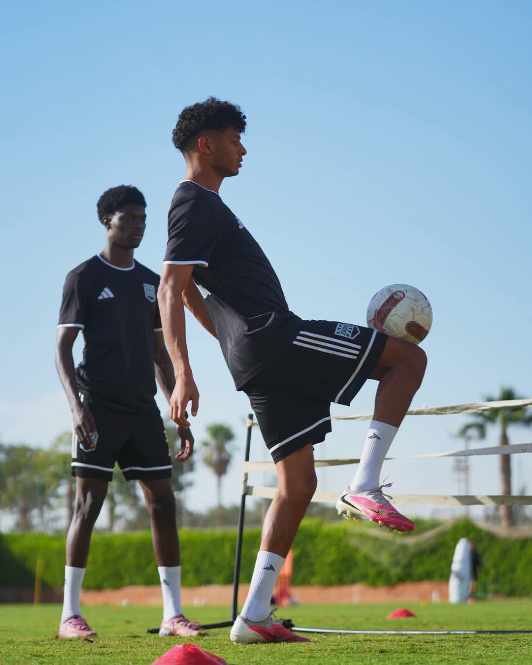 تدريب زد