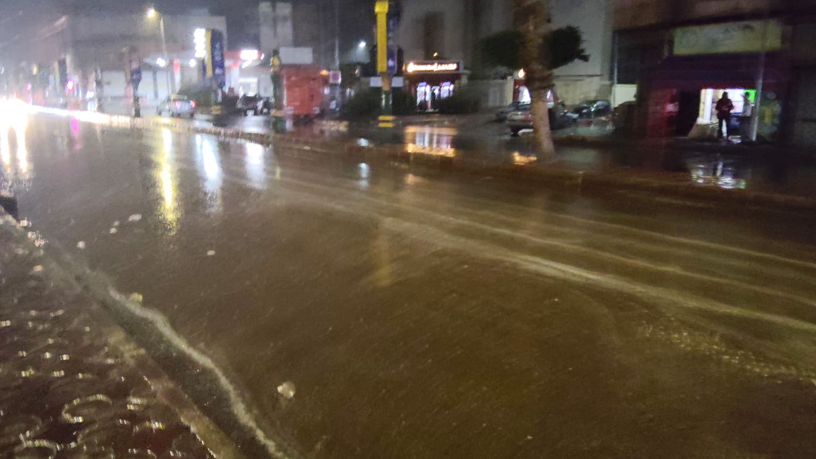 أمطار غزيرة في البحيرة (4)