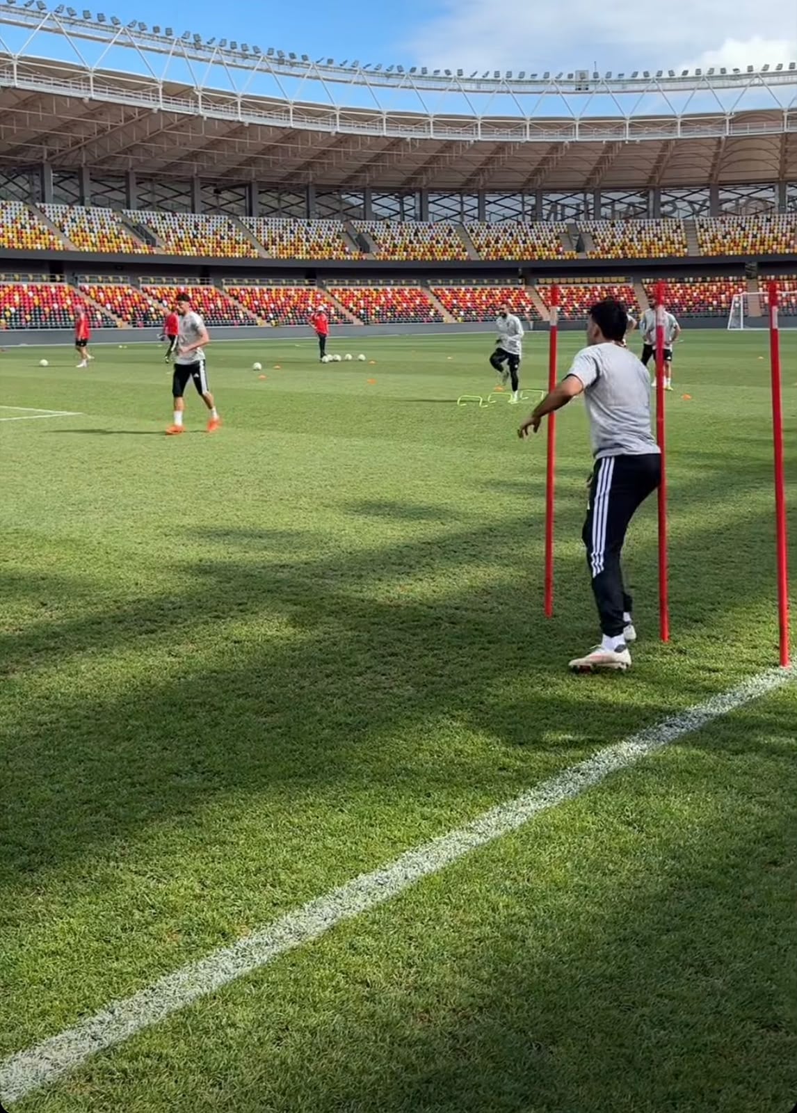 تدريب الأهلى