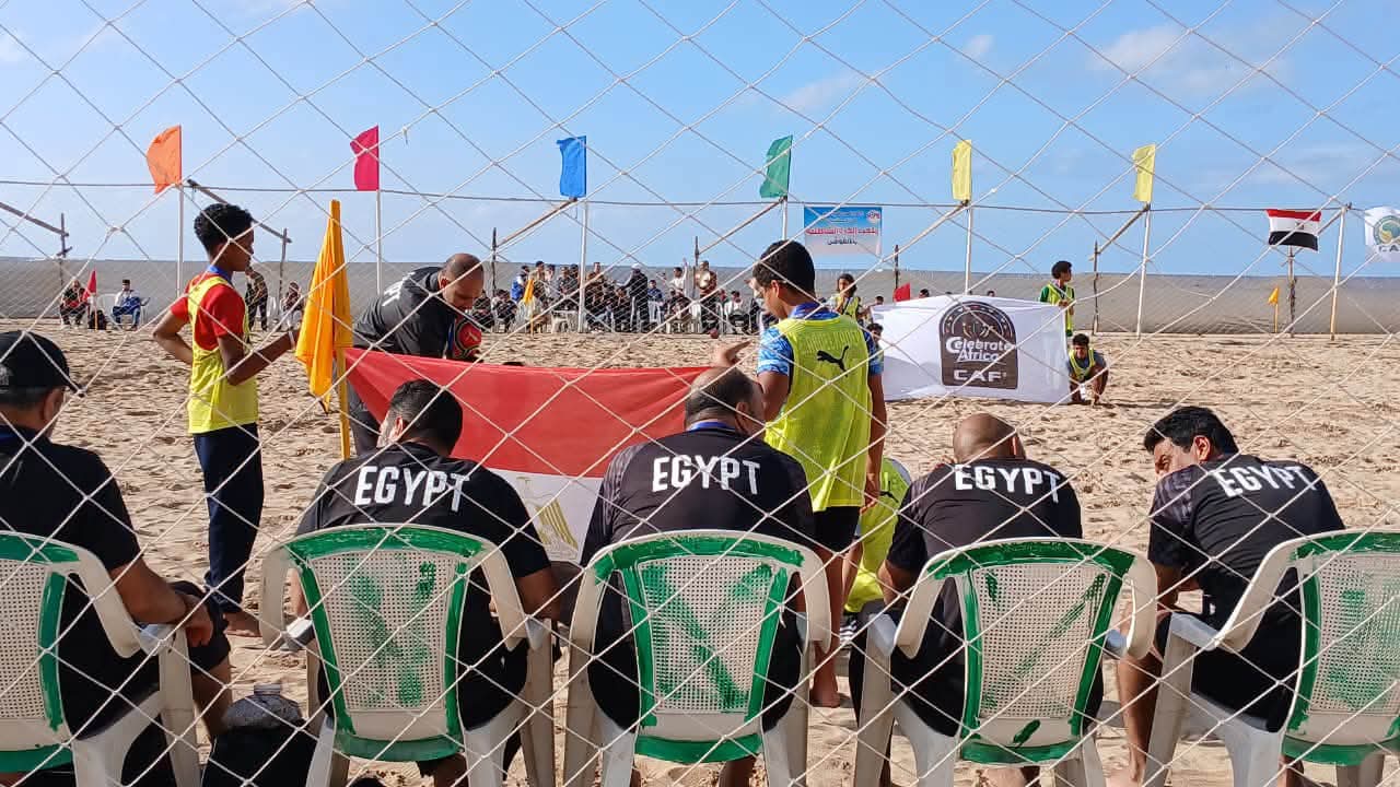 الجهاز الفنى المصرى