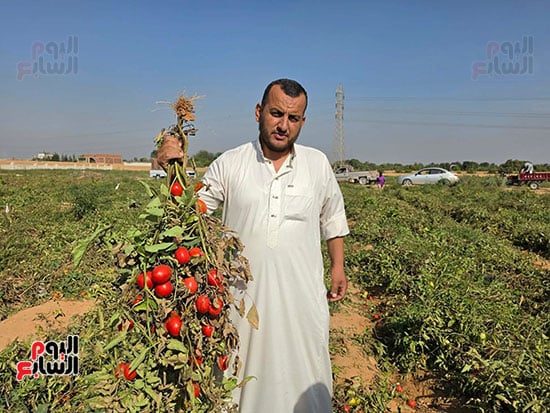 اجود-الاصناف اجود-الاصناف