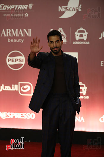 محمود عمرو ياسين
