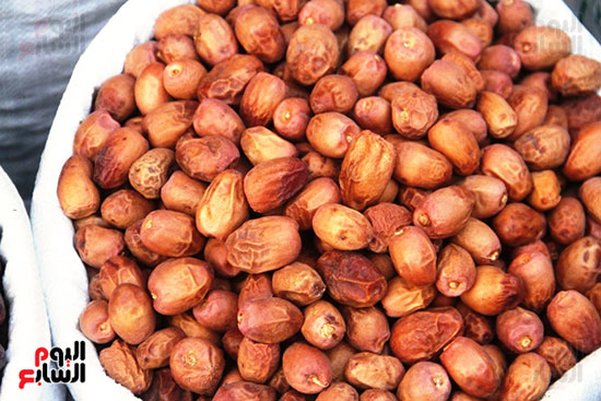 بلح-أسوان بلح-أسوان