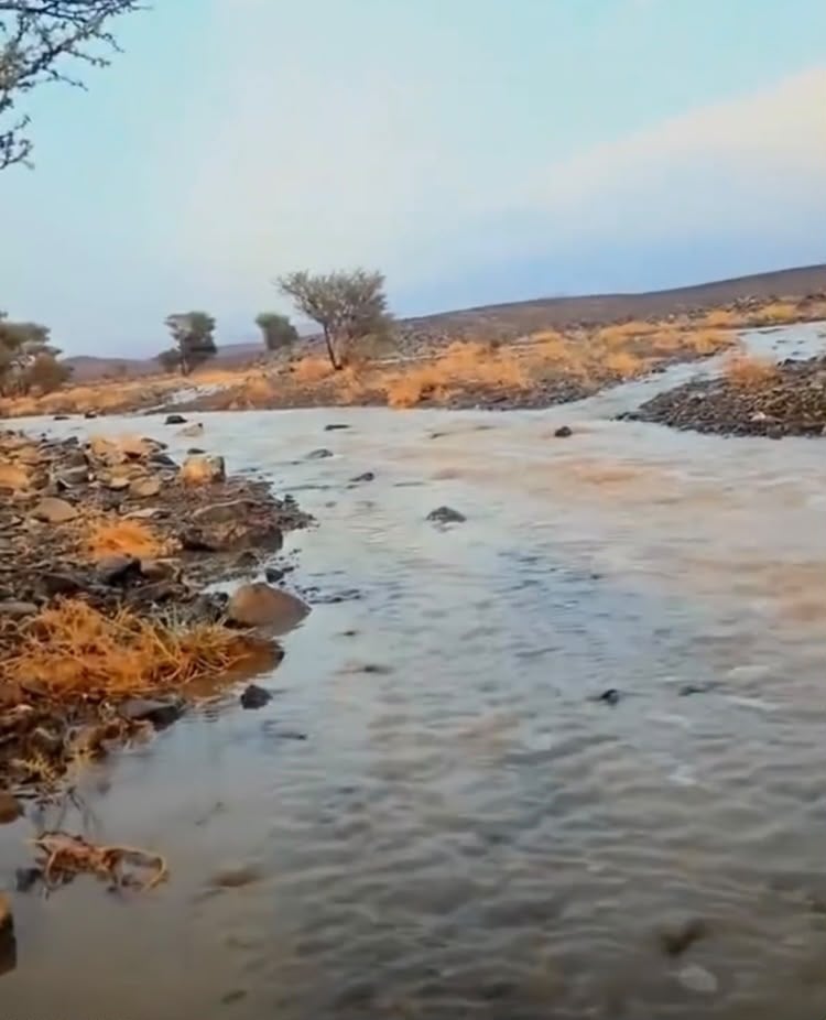 سيول الشلاتين