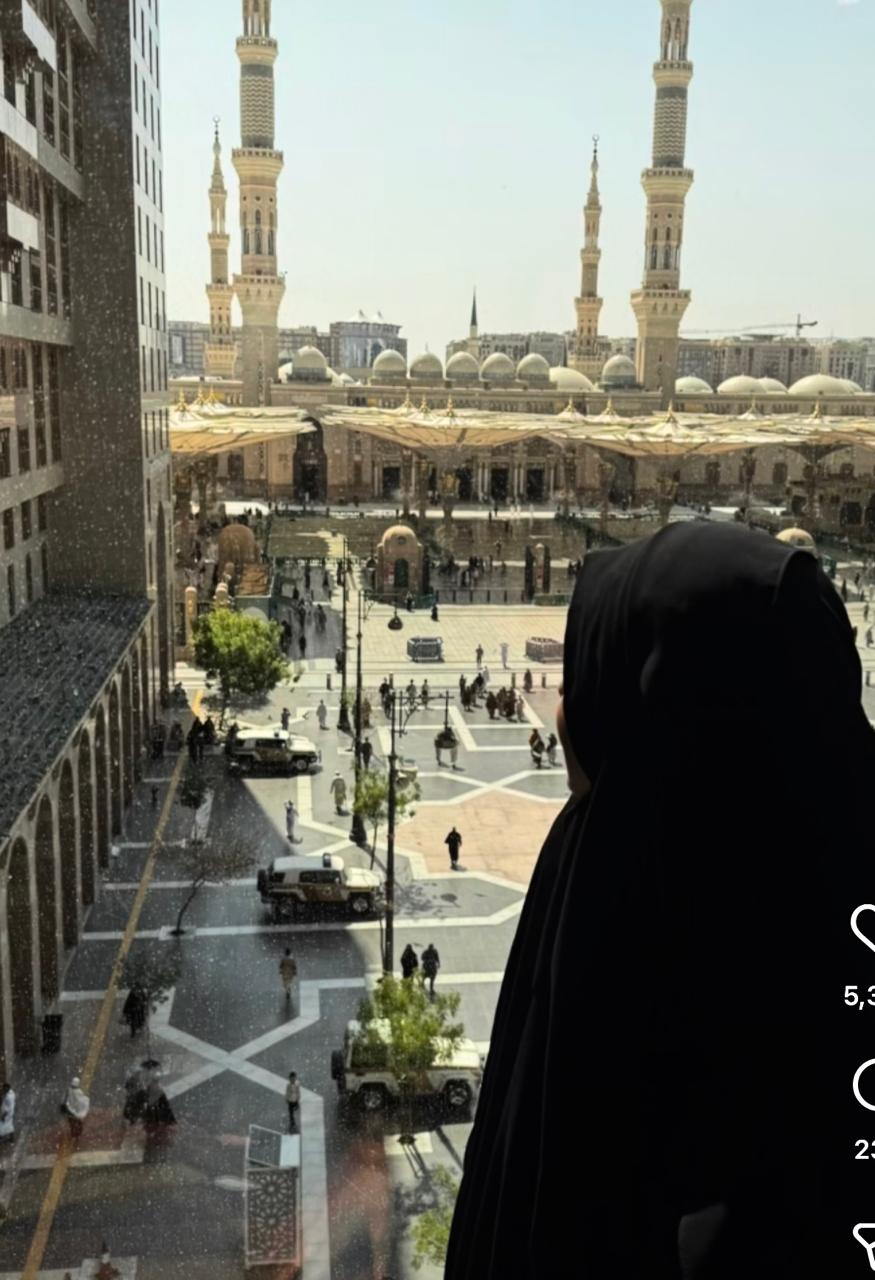 حلا شيحة
