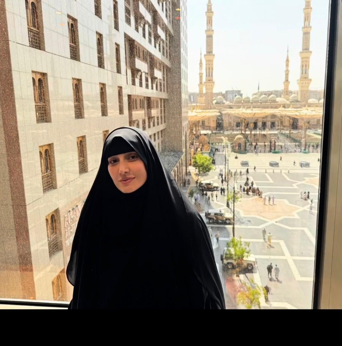 حلا شيحة