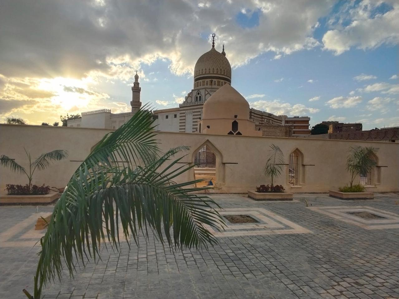 ترميم رباط أم العادل