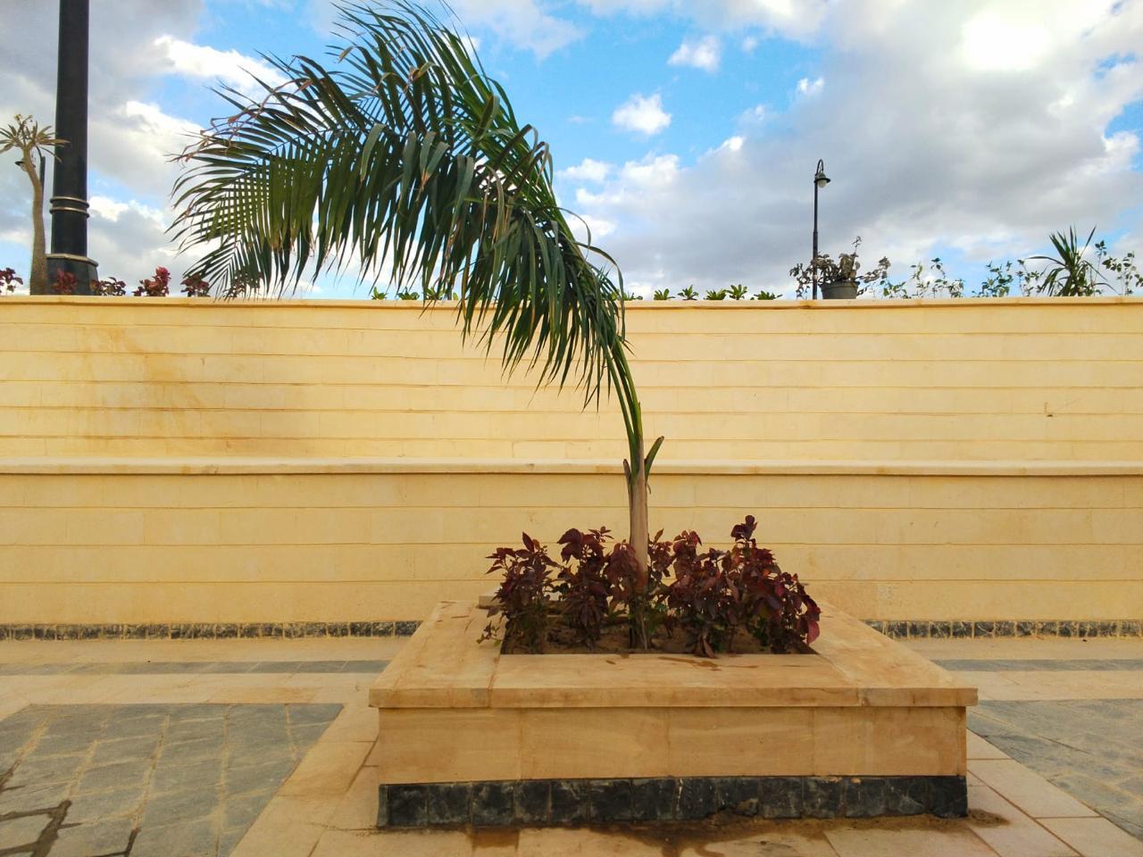 تشجير المنطقة