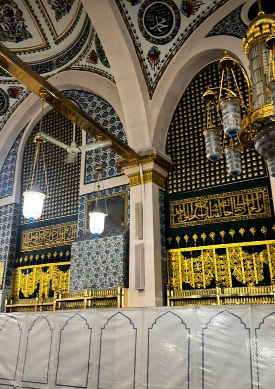 حلا شيحة