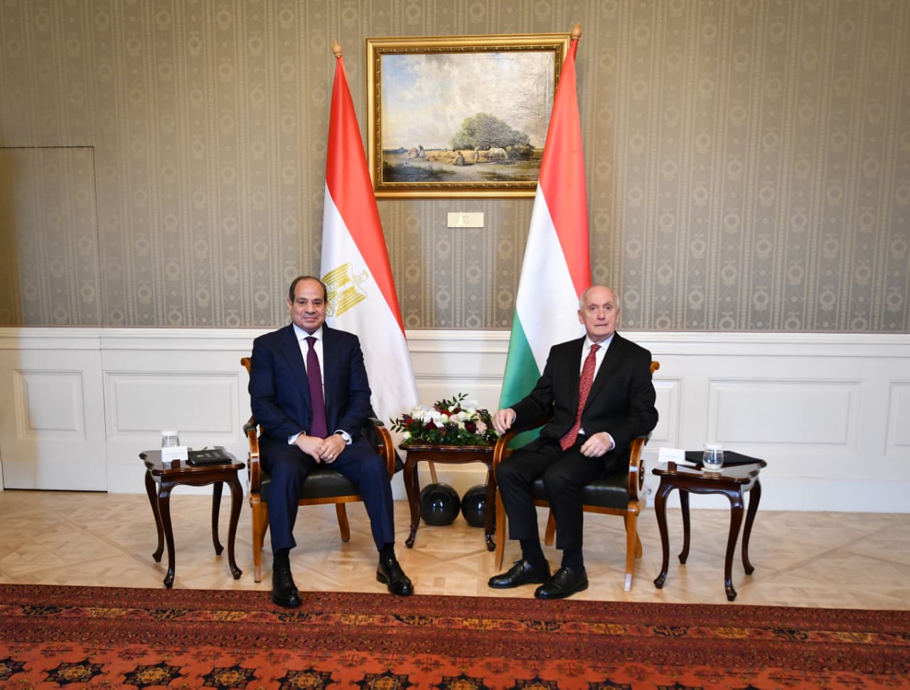 فخامة الرئيس عبد الفتاح السيسي (11)