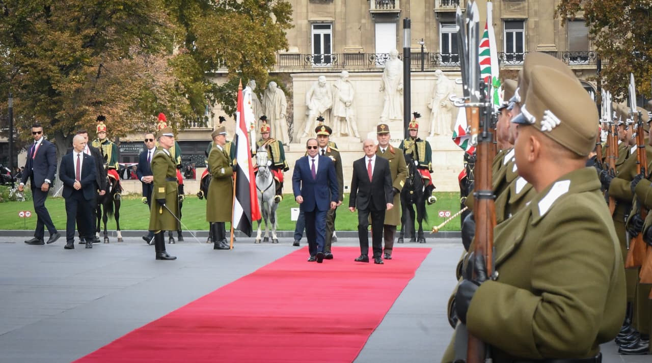 فخامة الرئيس عبد الفتاح السيسي (6)