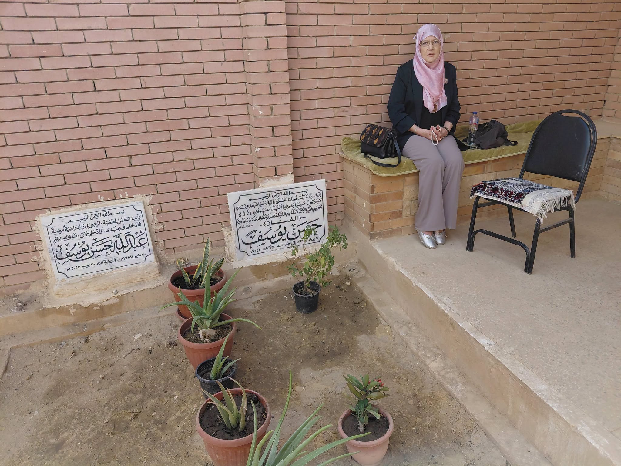 شمس البارودى (2)