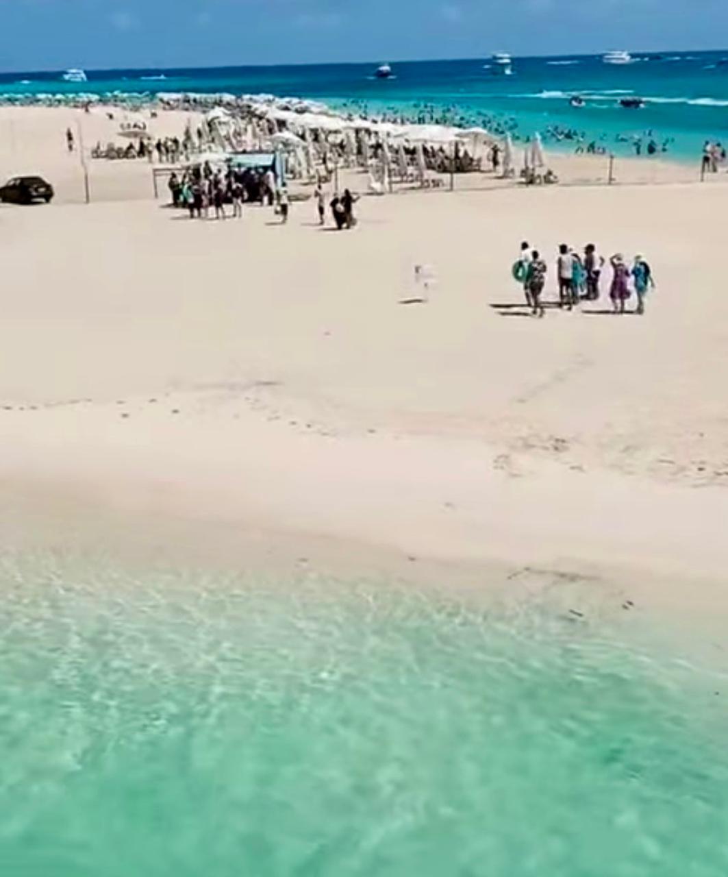 شاطئ الغرام (1)
