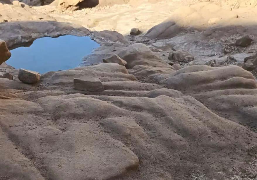 تخرج من باطن الأرض 