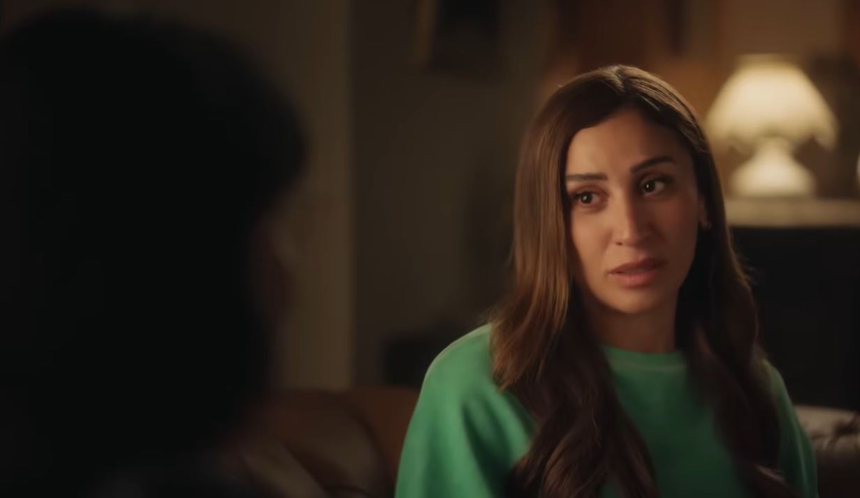 الفنانة دينا الشربيني