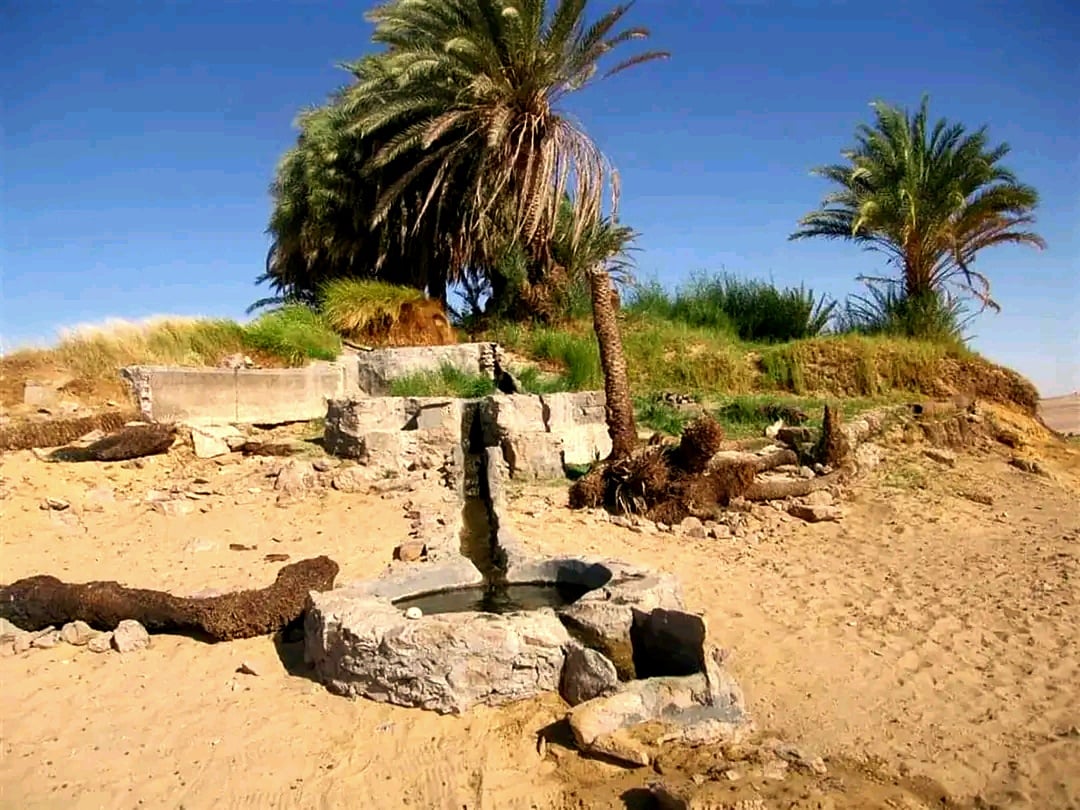 البئر ينضح بالمياه لمن يزوره 