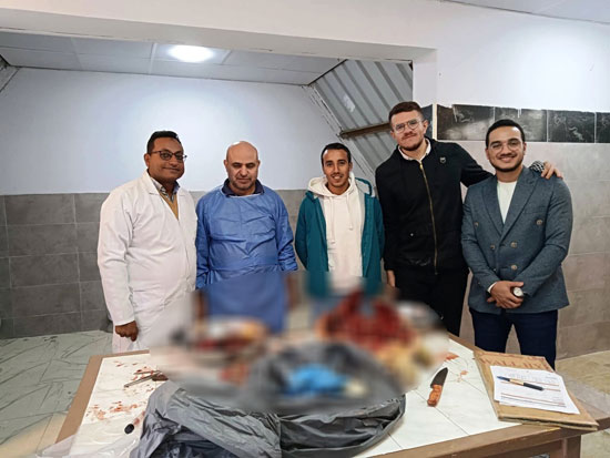 التشريح للسلاحف من اجل معرفة اسباب الوفاة التشريح للسلاحف من اجل معرفة اسباب الوفاة