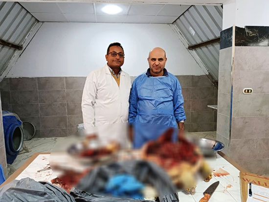 التدريب يسعى لمعرفة أسباب الوفاة للسلاحف التدريب يسعى لمعرفة أسباب الوفاة للسلاحف