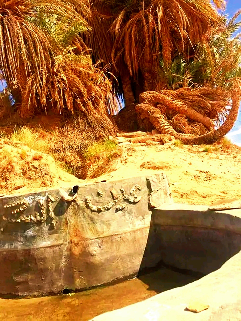 عين السرو اغرب بئر فى العالم