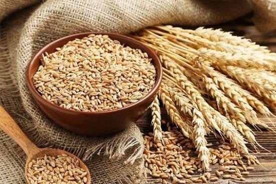 القمح في المنام