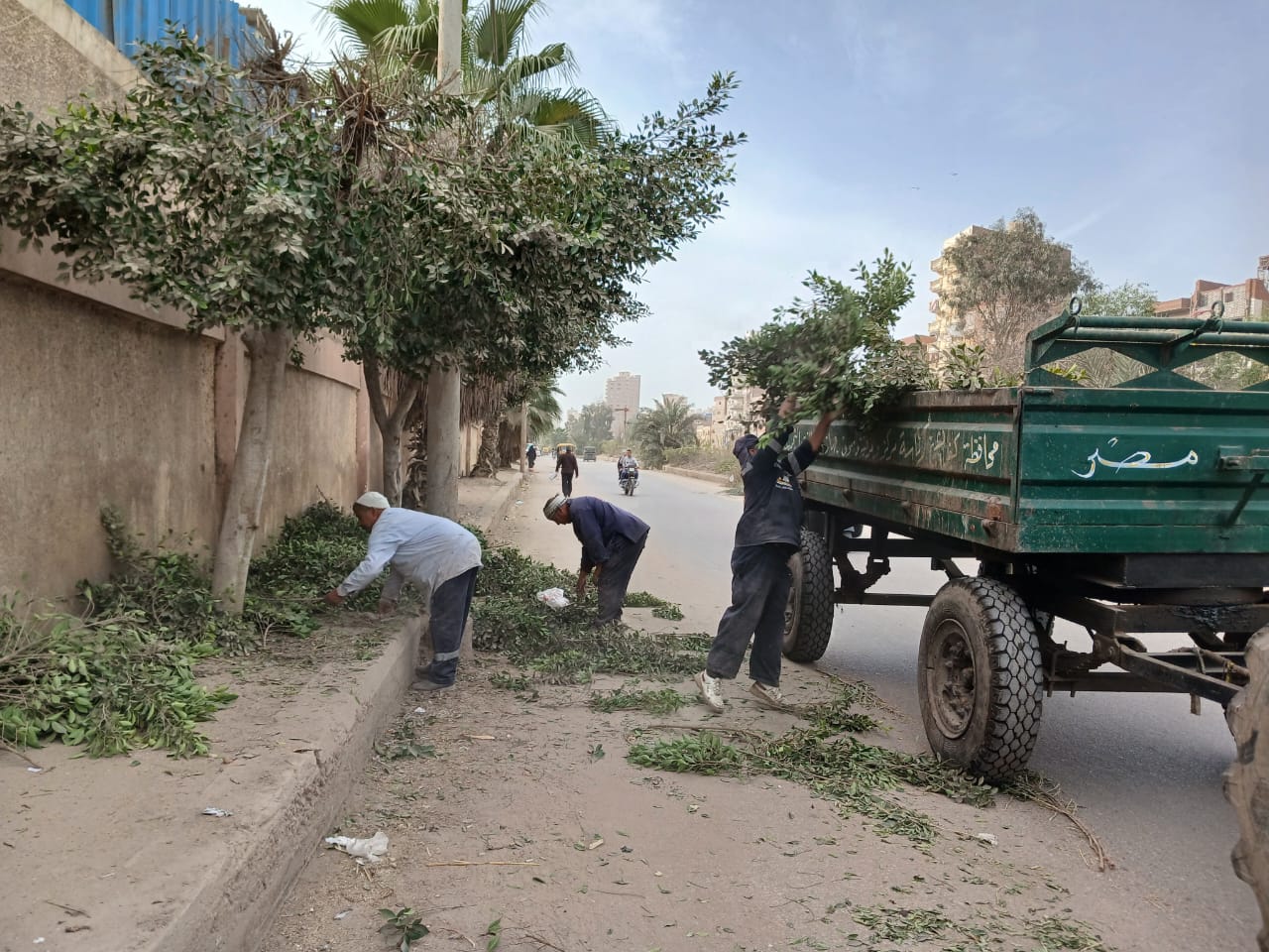 رفع مخلفات تقليم الأشجار