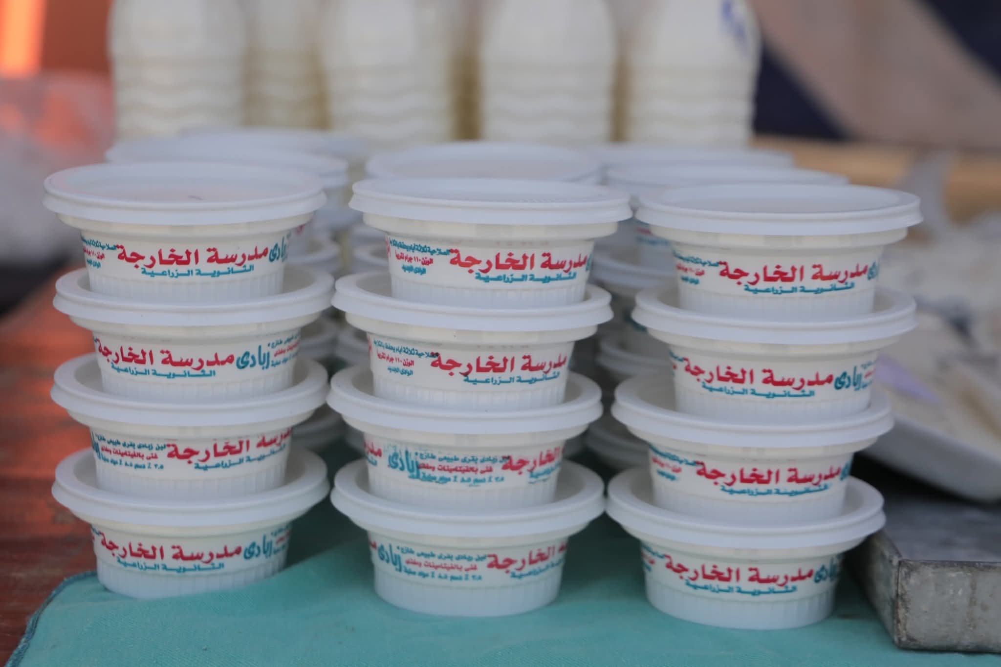 المدارس المنتجة بالوادى الجديد تستعد لاحتكار سوق المنتجات الغذائية الطازجة  (10)