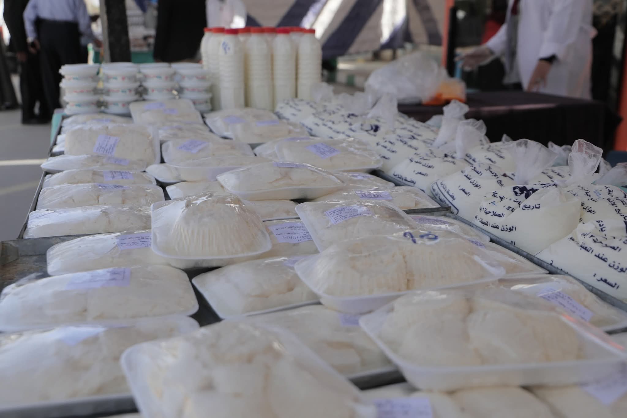 المدارس المنتجة بالوادى الجديد تستعد لاحتكار سوق المنتجات الغذائية الطازجة  (11)