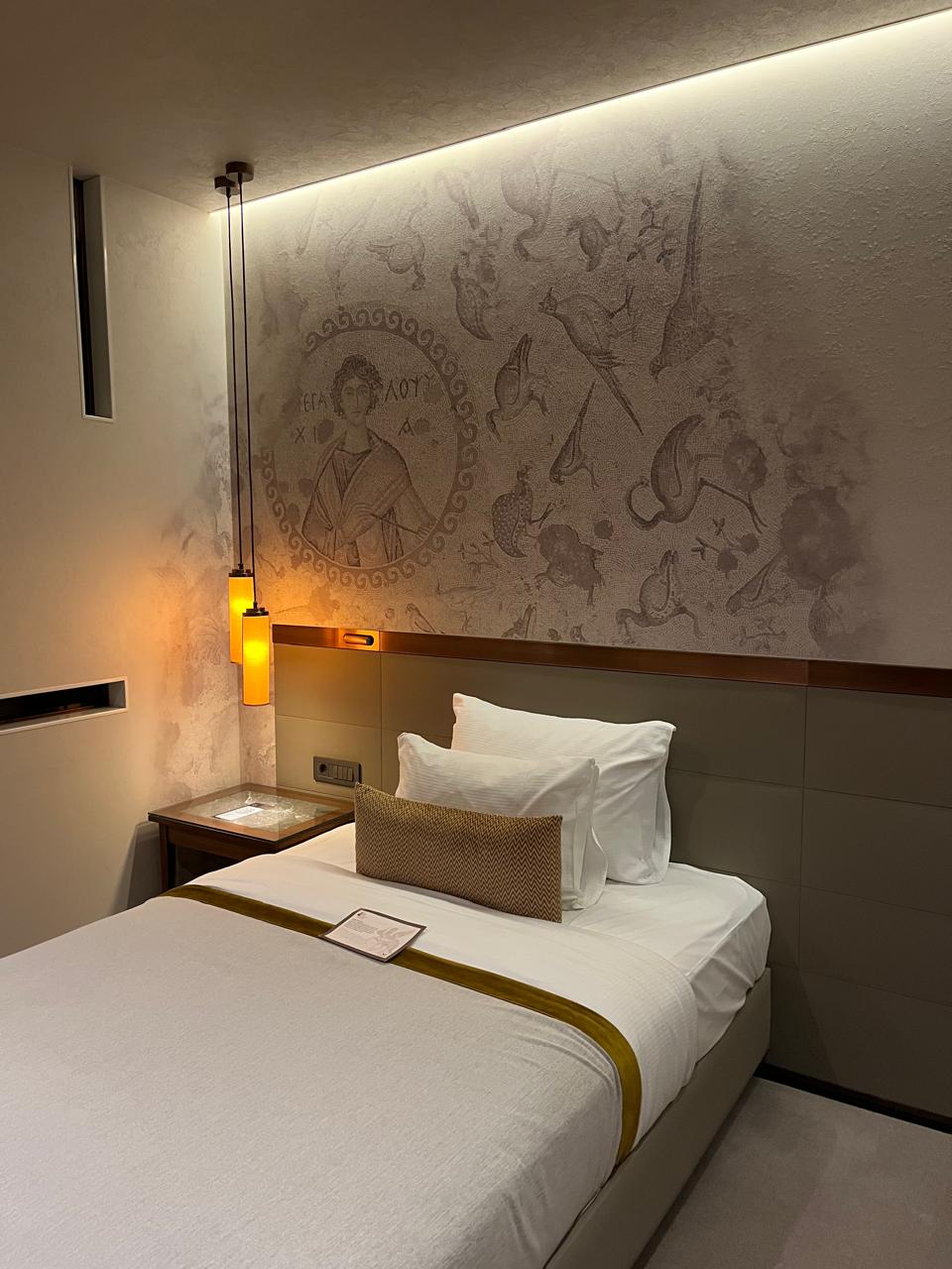 فندق متحف أنطاكيا (4)