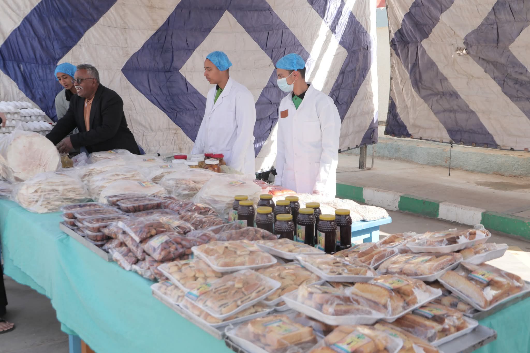 المدارس المنتجة بالوادى الجديد تستعد لاحتكار سوق المنتجات الغذائية الطازجة  (13)