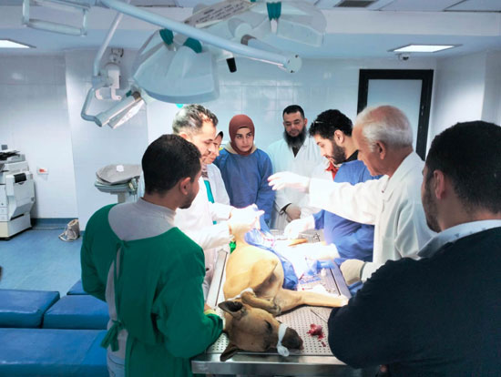 جامعة دمنهور تواصل تنفيذ إجراءات عمليات التعقيم