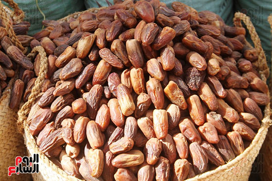 البلح-السكوتى