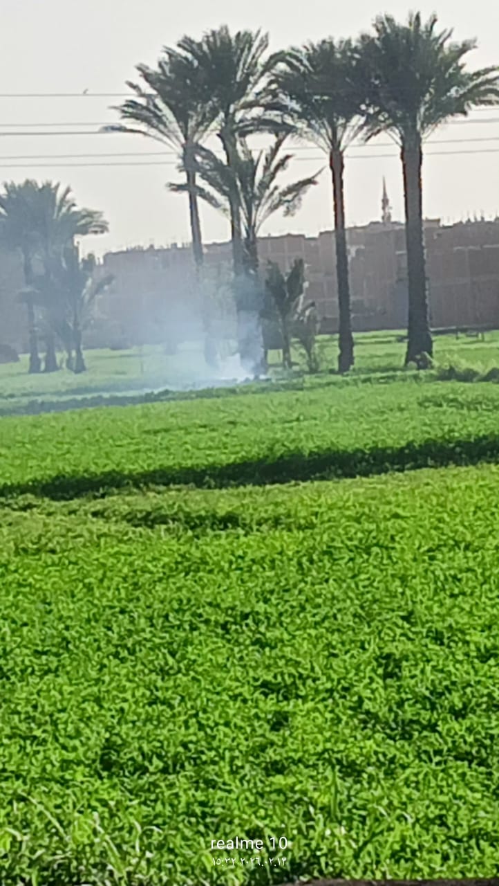 تكثيف الحملات الميدانية لمواجهة الحرق