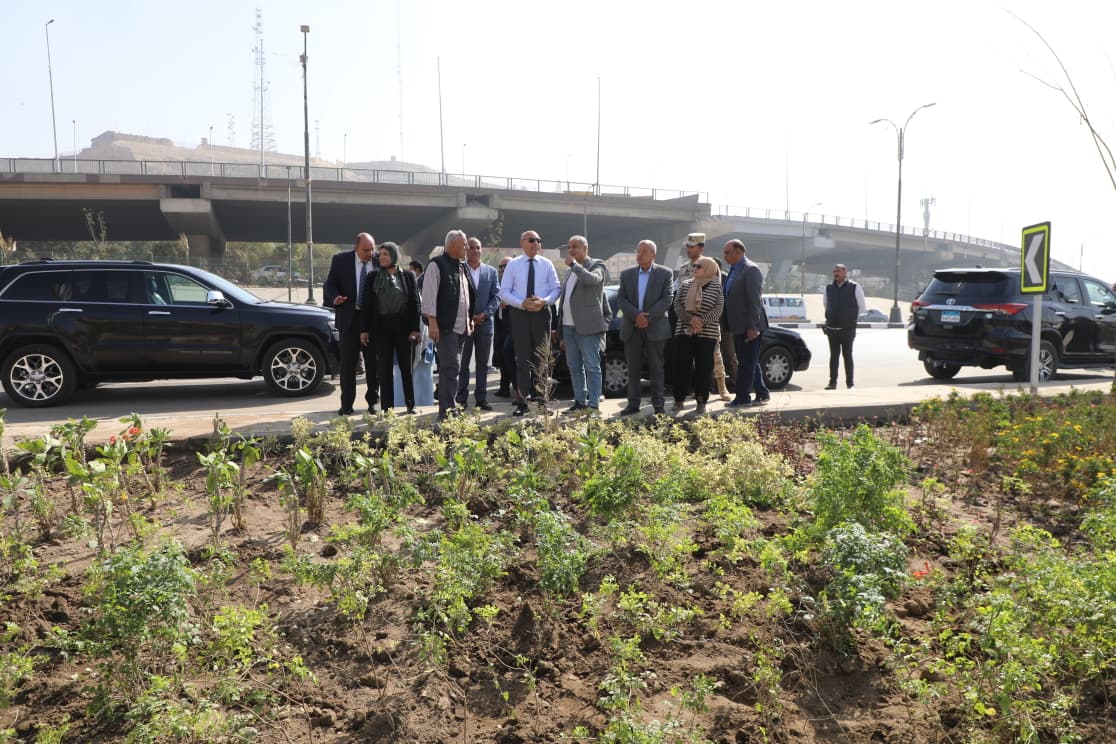 اعمال التشجير بمحيط المحور