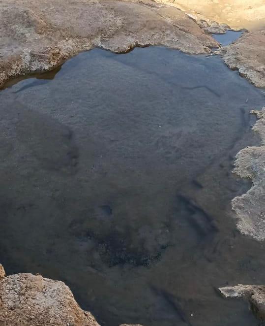 ترتفع عن سطح الأرض ببرابة ٥ أمتار 