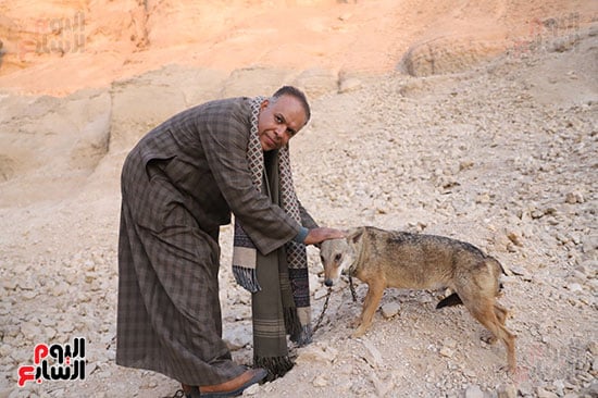 مع-الذيب-بالمنطقة-الجبلية-