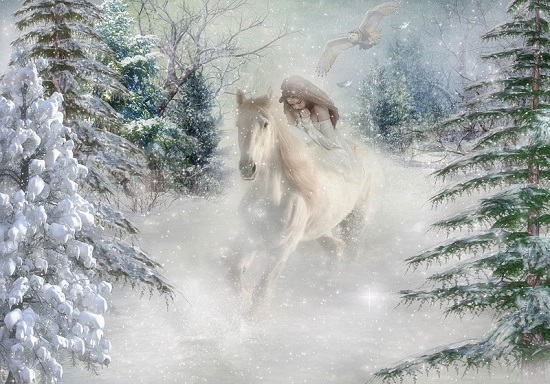 تفسير حلم الحصان