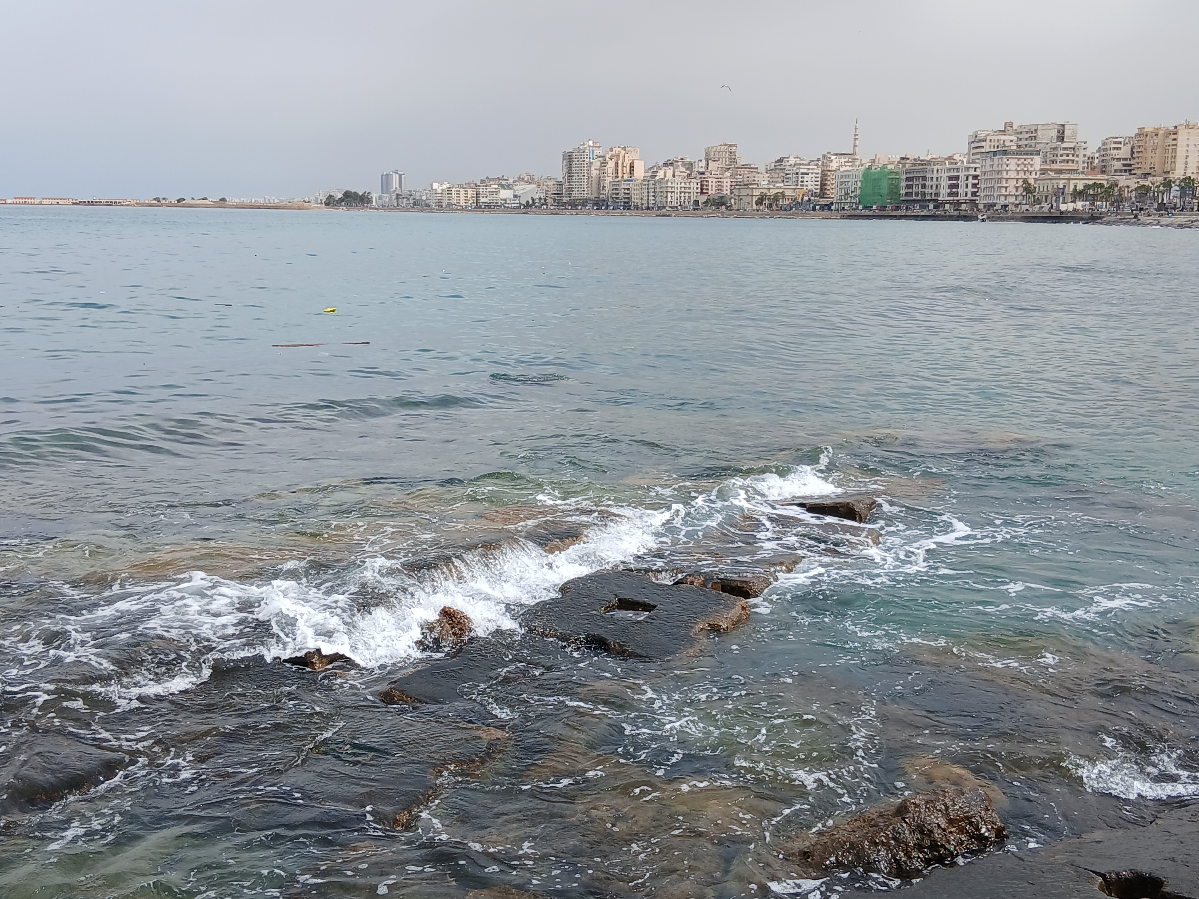 طقس الإسكندرية  اليوم