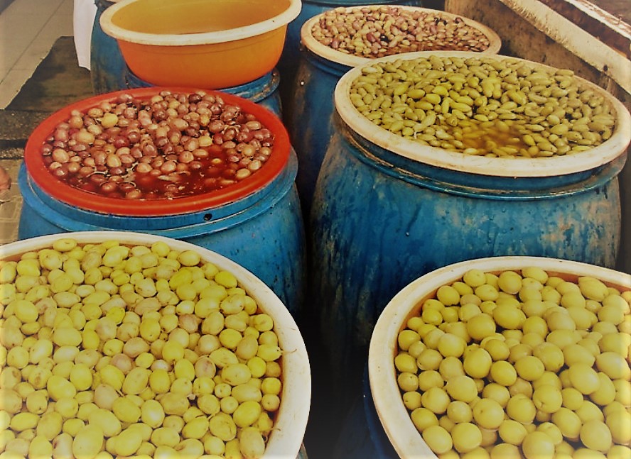 موسم حصاد مئات الأطنان من ثمار الزيتون في مطروح وسيوة (8)