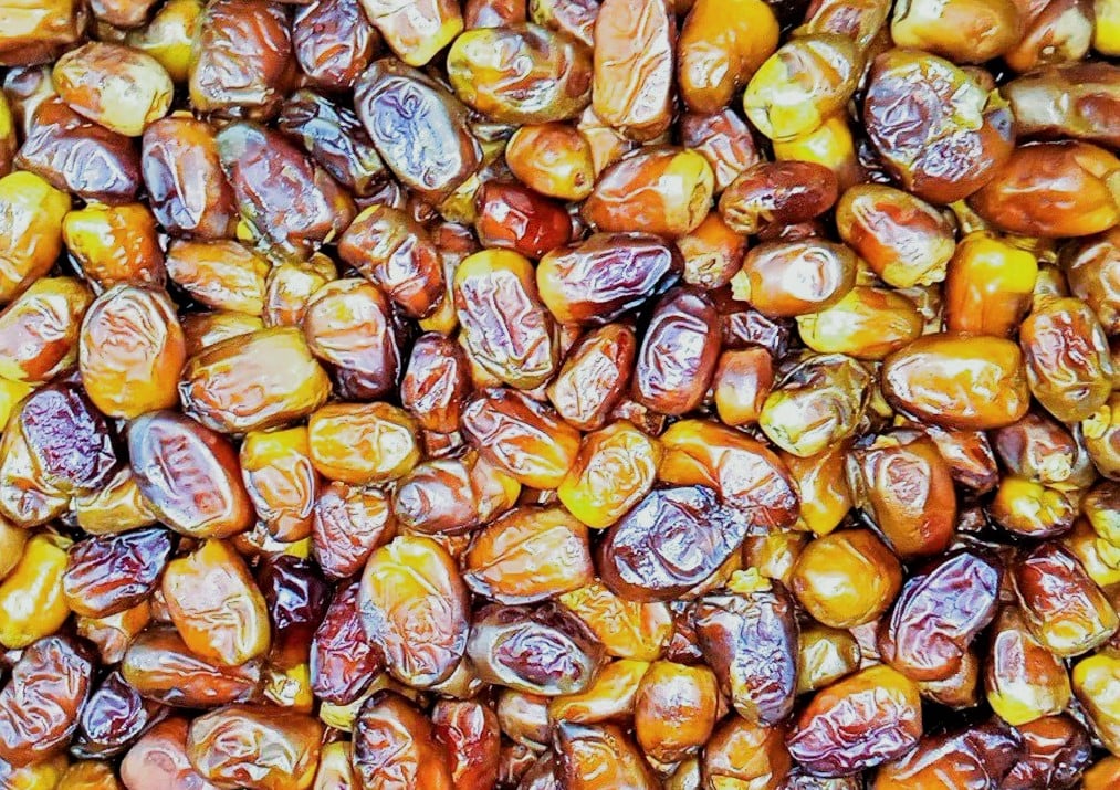 سيوة تنتج اشهر انواع البلح