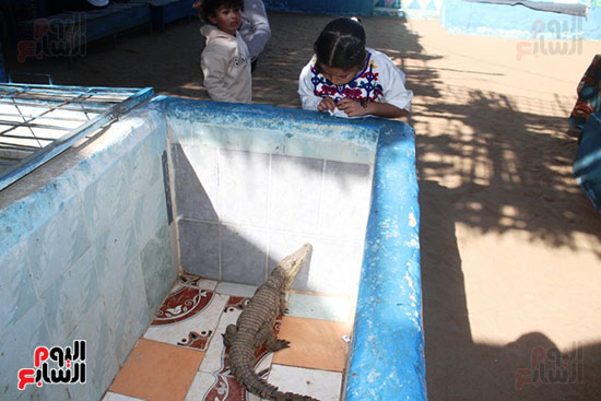 الأطفال-يراقبون-حركة-التماسيح