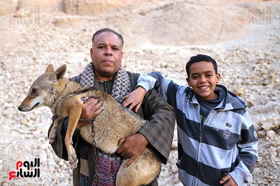 حتى-الاطفال-لا-يخافون-الذئاب- حتى-الاطفال-لا-يخافون-الذئاب-