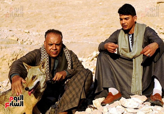 الذئب-فى-الجبل-مع-محرر-اليوم-السابع-والمدرب- الذئب-فى-الجبل-مع-محرر-اليوم-السابع-والمدرب-