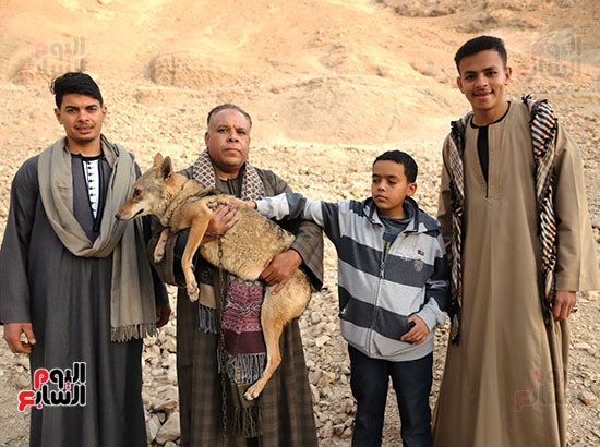 حرص-الشباب-على-التصوير-مع-الذائب- حرص-الشباب-على-التصوير-مع-الذائب-