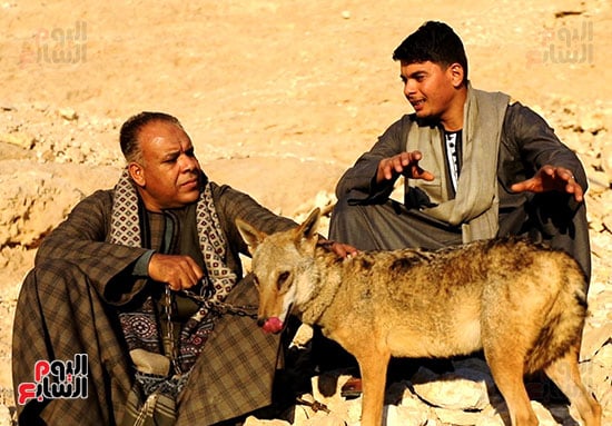 حوار-مع-المربى- حوار-مع-المربى-