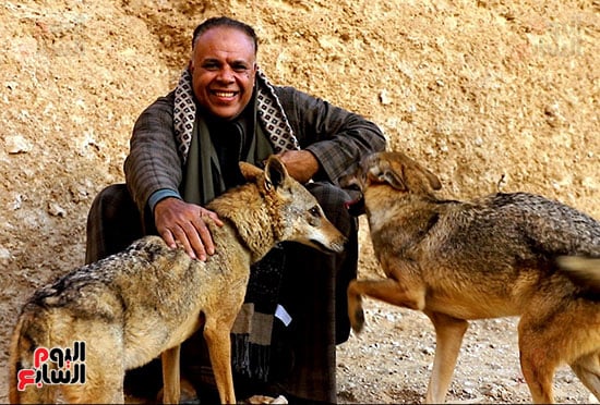 بلجلباب-الصعيدى-مع-الذائب- بلجلباب-الصعيدى-مع-الذائب-