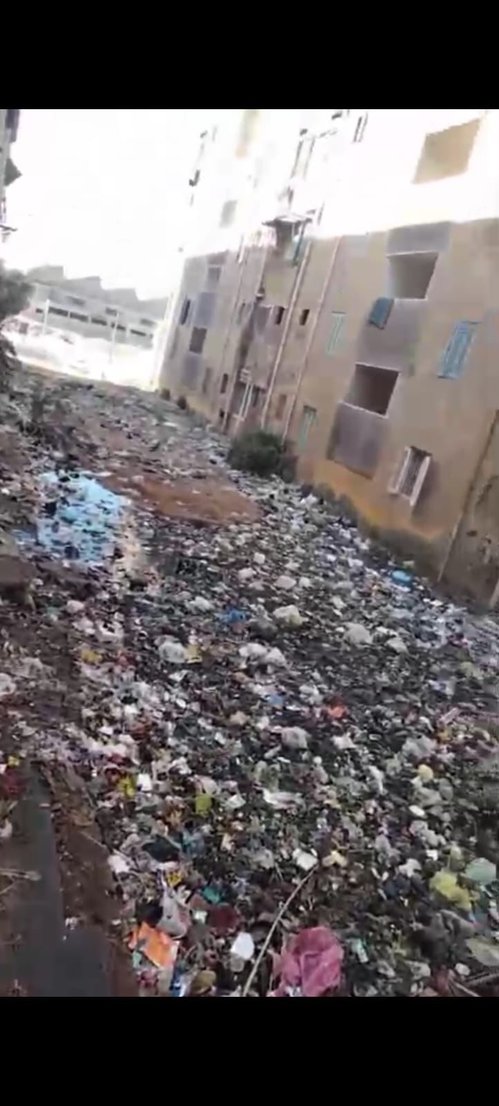 استجابة سريعة لشكاوى تراكم المخلفات بمنطقة مساكن الصفراء بالبحيرة