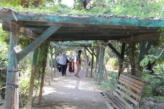 حديقة الزهرية